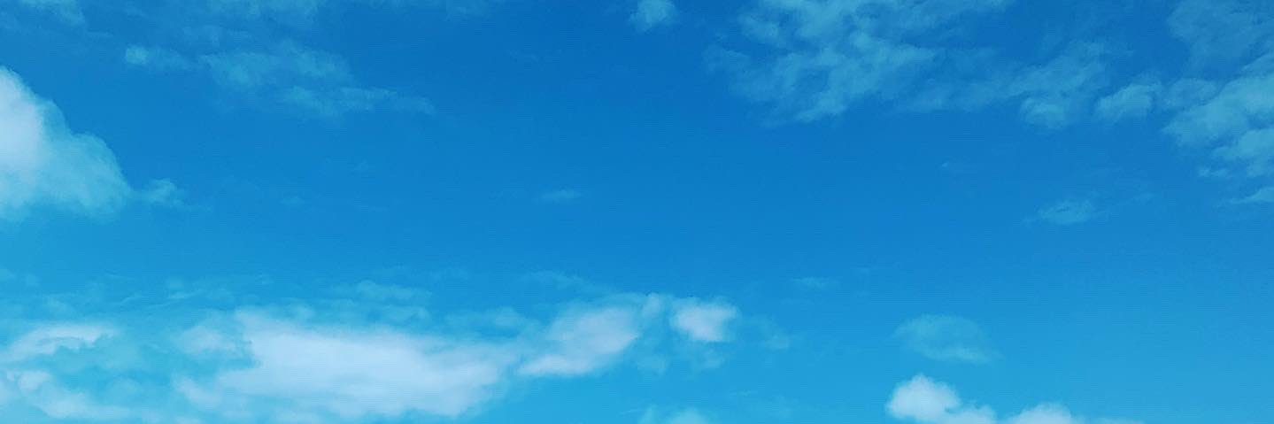 jadelaver's profile banner image