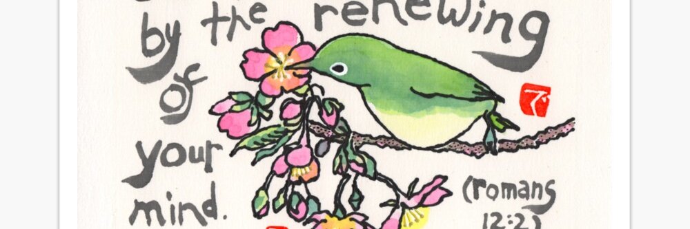 dosankodebbie banner