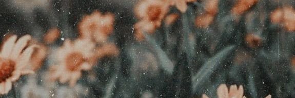 _biathome's profile banner image