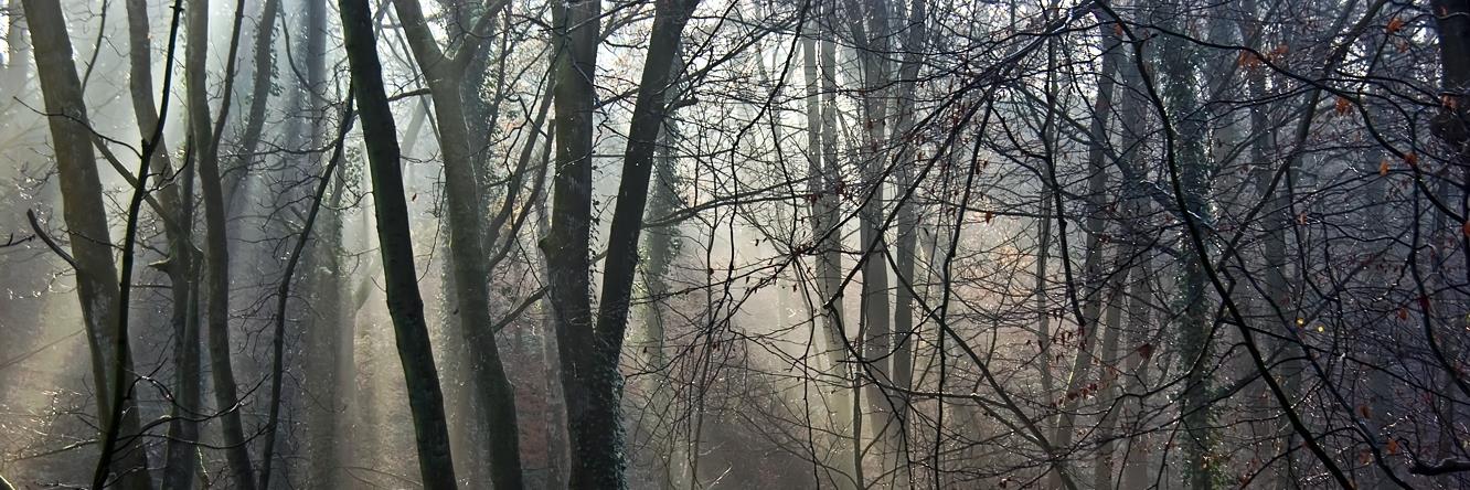 photolandscape1's profile banner image