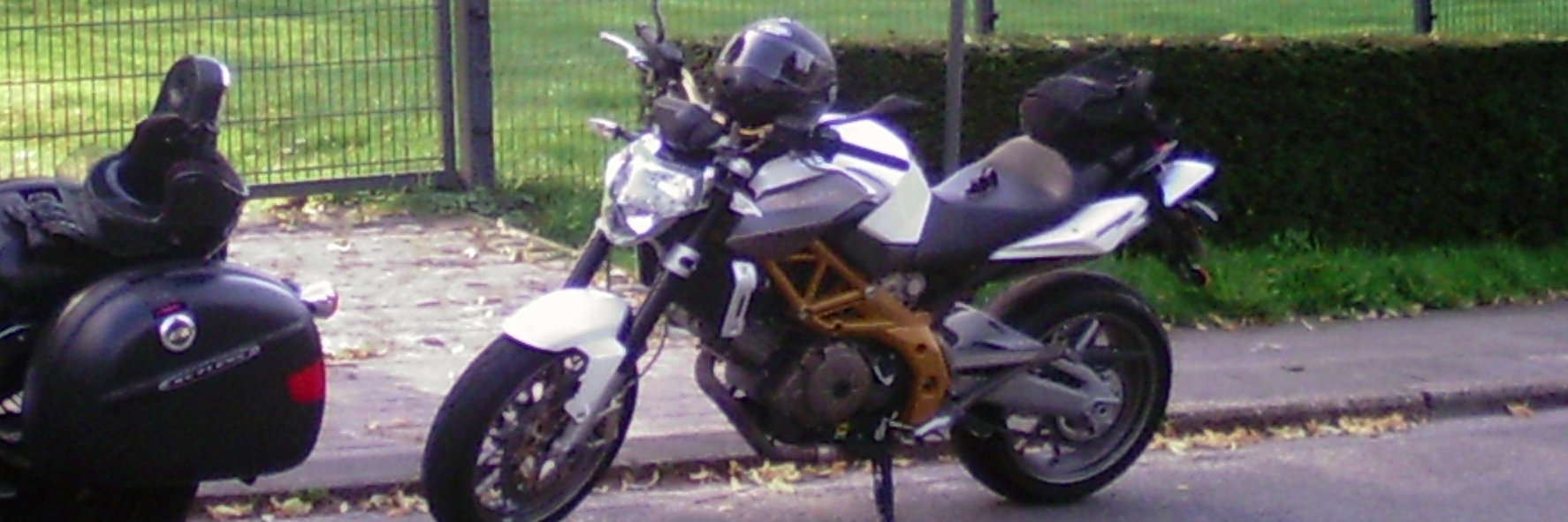 angiolillo banner