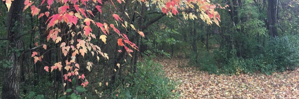 jen_truman's profile banner image