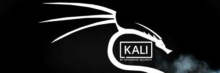 kaliturkey's profile banner image