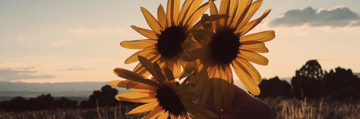 edierenee_'s profile banner image