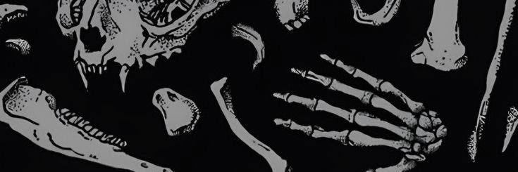 yuyicast's profile banner image