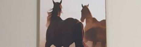 macosborn3's profile banner image