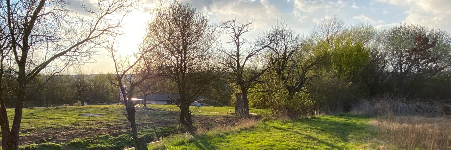 ssincak's profile banner image