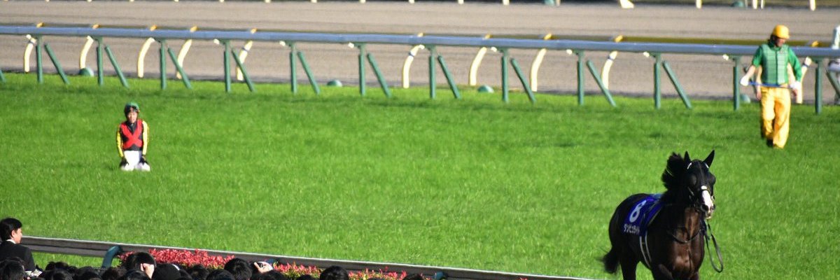 unk_udon's profile banner image