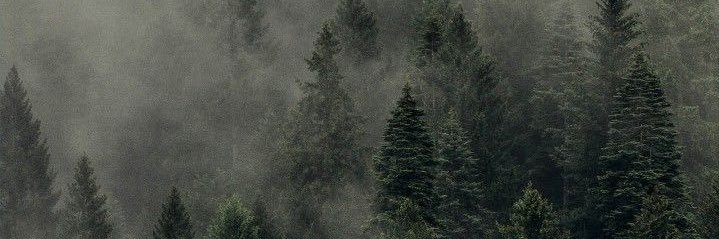 MarinaGara's profile banner image