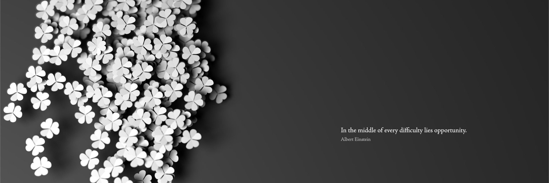 Ak banner