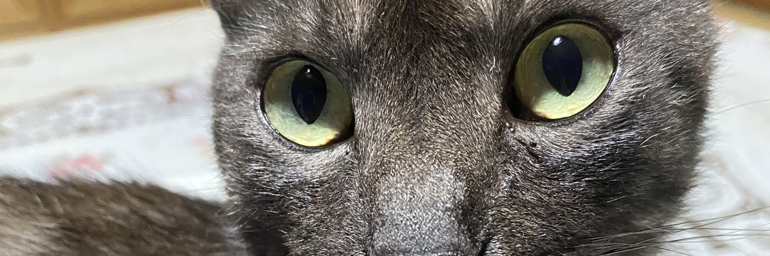 mamiya131's profile banner image