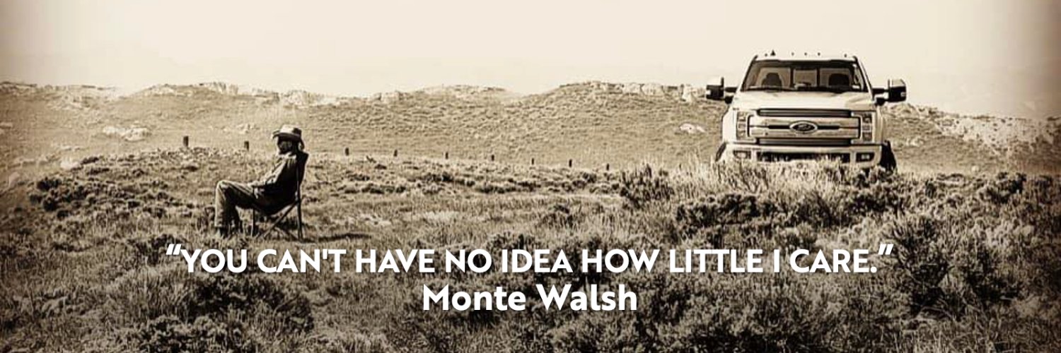 ‘The Editor’ banner