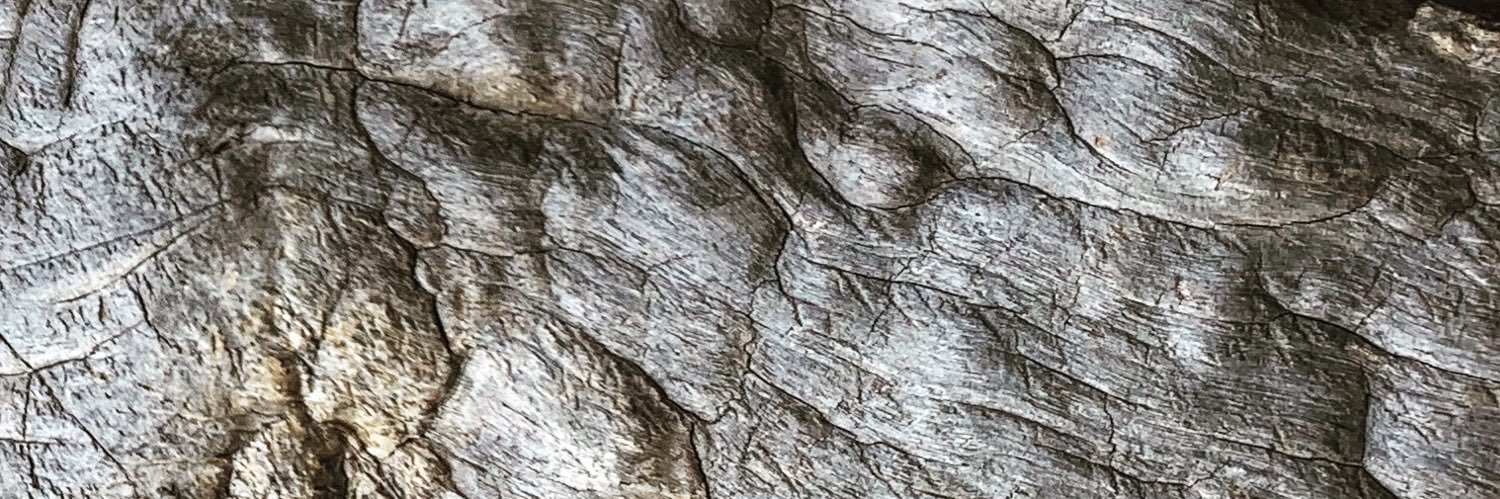 VivienImages's profile banner image