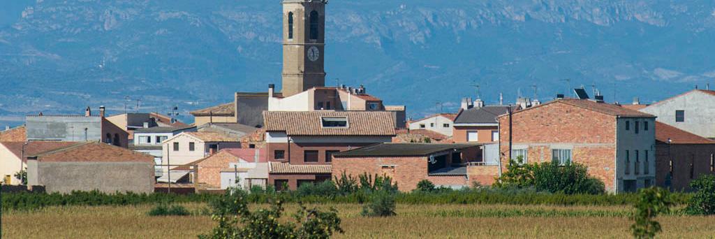 Concep Cañadell banner