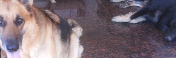 GsdRubyR Profile Banner