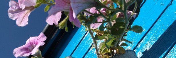 jintygal31 Profile Banner