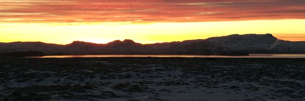 HarriLaine Profile Banner