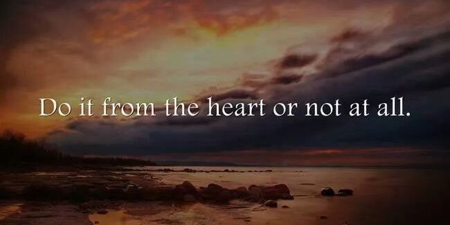 Andrea Ankovic banner