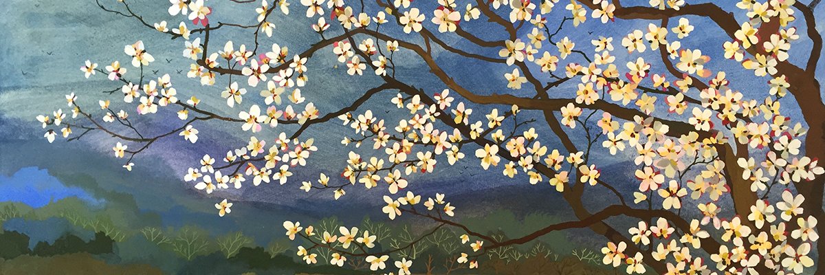 suzelmeyer's profile banner image