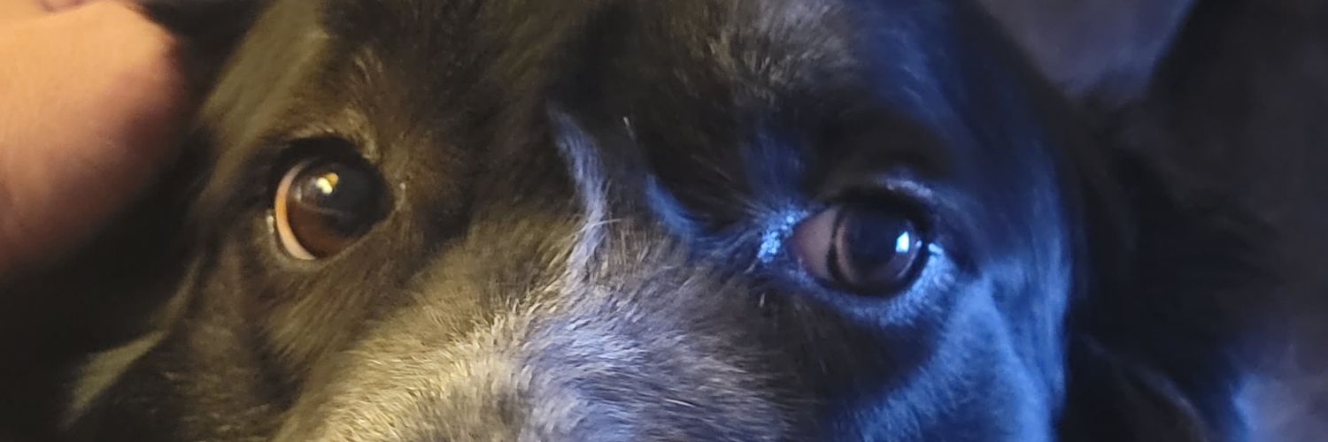 Payull's profile banner image