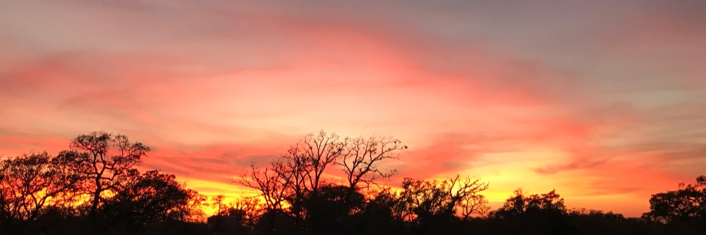 ᑕᕼᗩᗪᗷᖇ banner