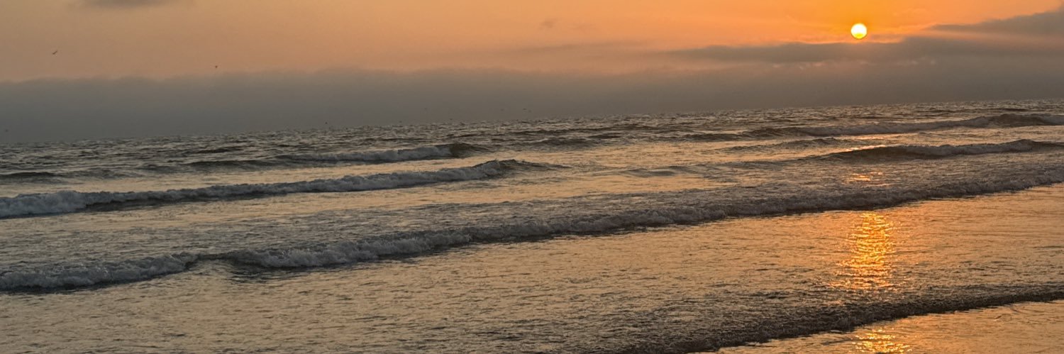 _cecebarr's profile banner image