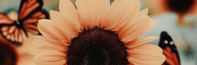JackieHashayla_'s profile banner image