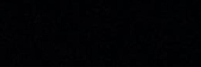 ️leane banner