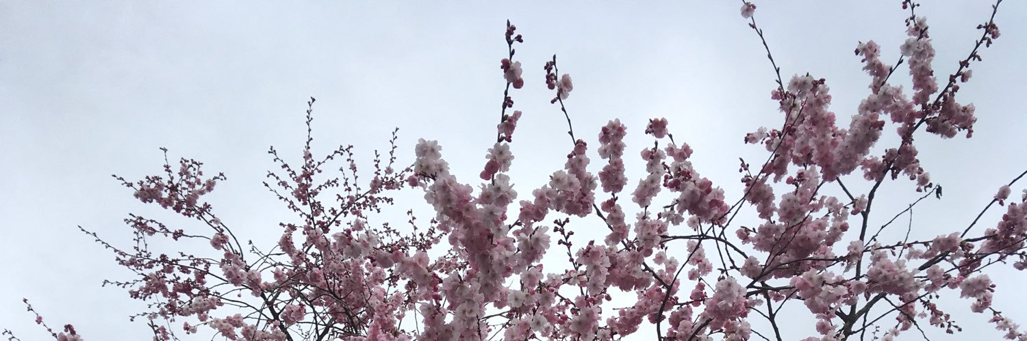 Nikki_081's profile banner image