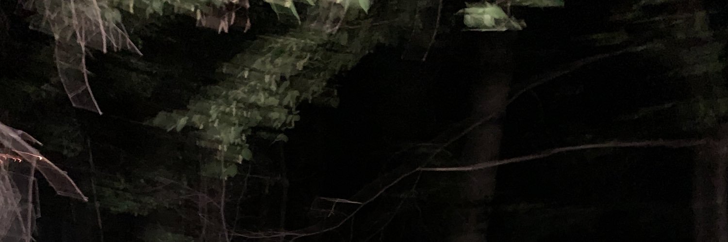 phokyata's profile banner image