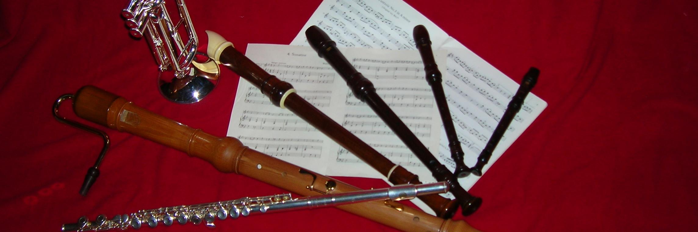 Gerdien Lassche banner