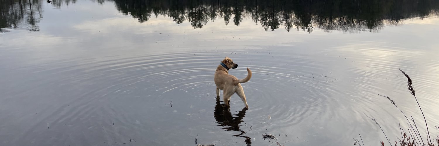 Martin Ludden banner