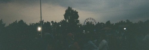 alaskafogdr's profile banner image
