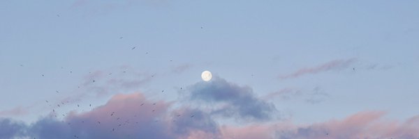 monikabzajac Profile Banner