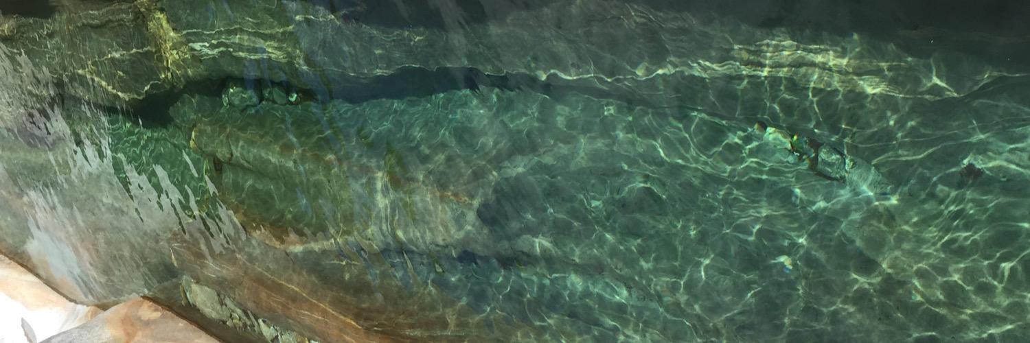 PinkCloud13's profile banner image