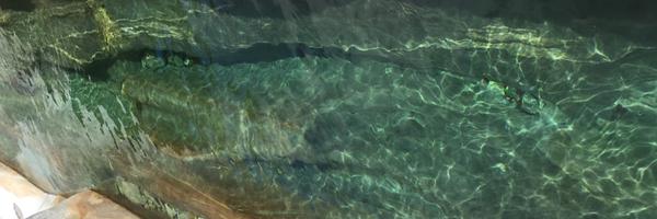 PinkCloud13 Profile Banner