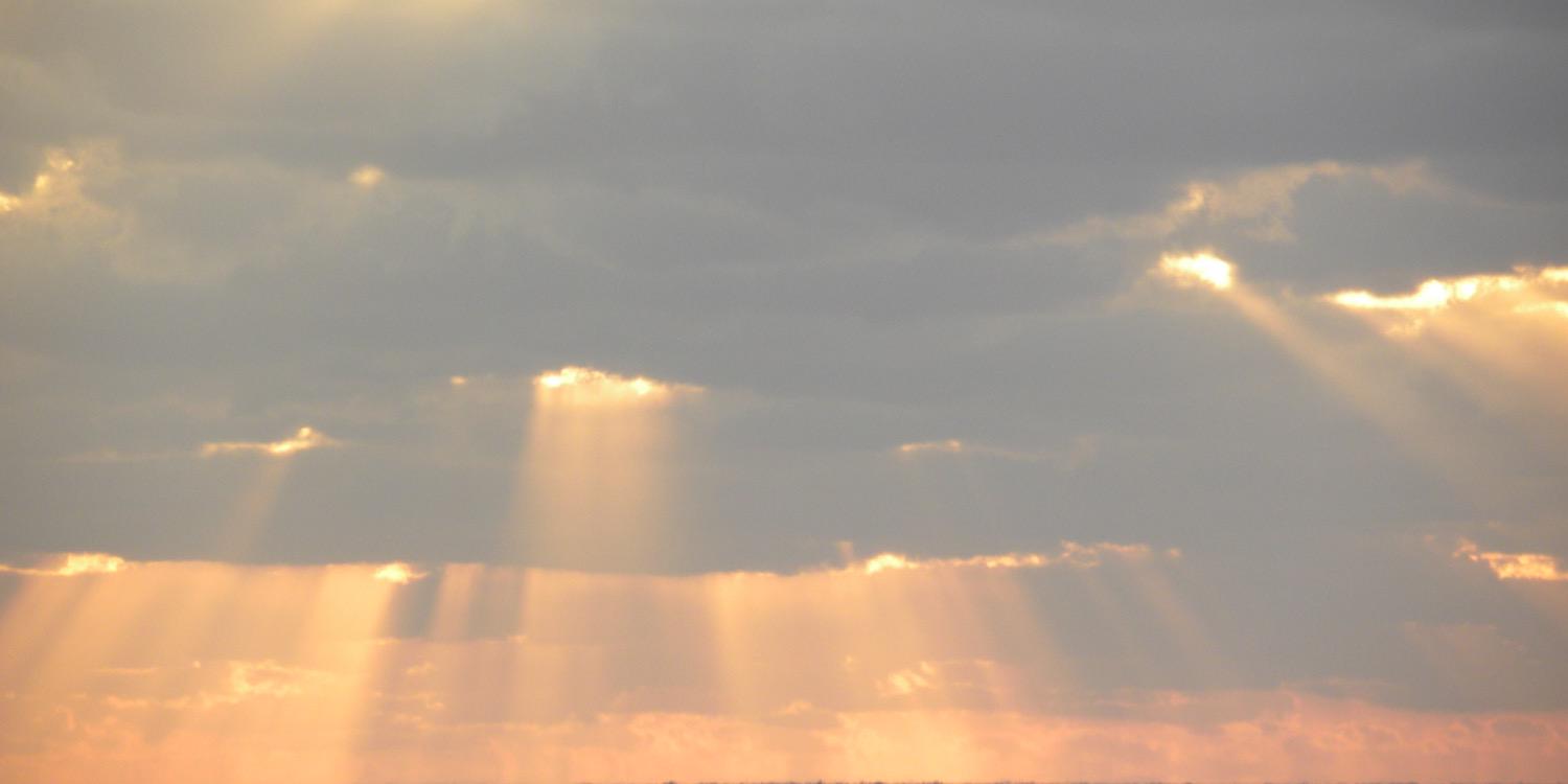 angelacaveuk's profile banner image