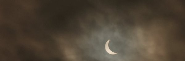 GavinGavingav1 Profile Banner