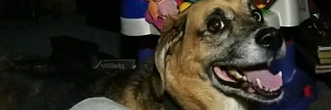 FurkoJordan's profile banner image