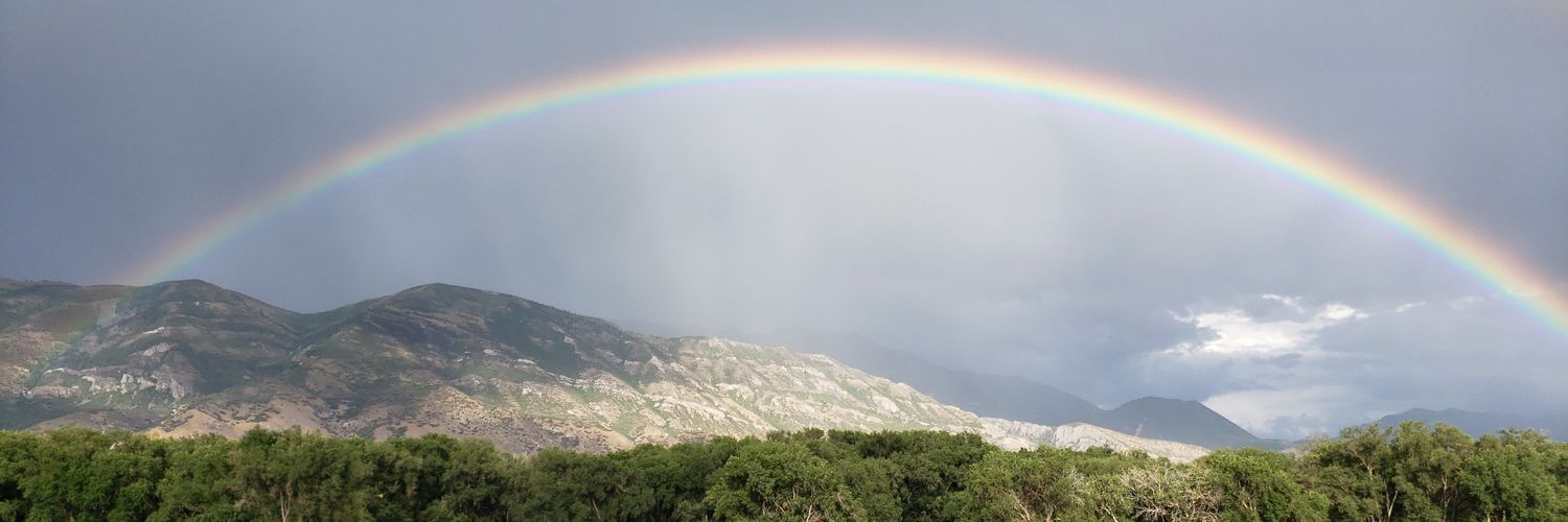terreluna's profile banner image