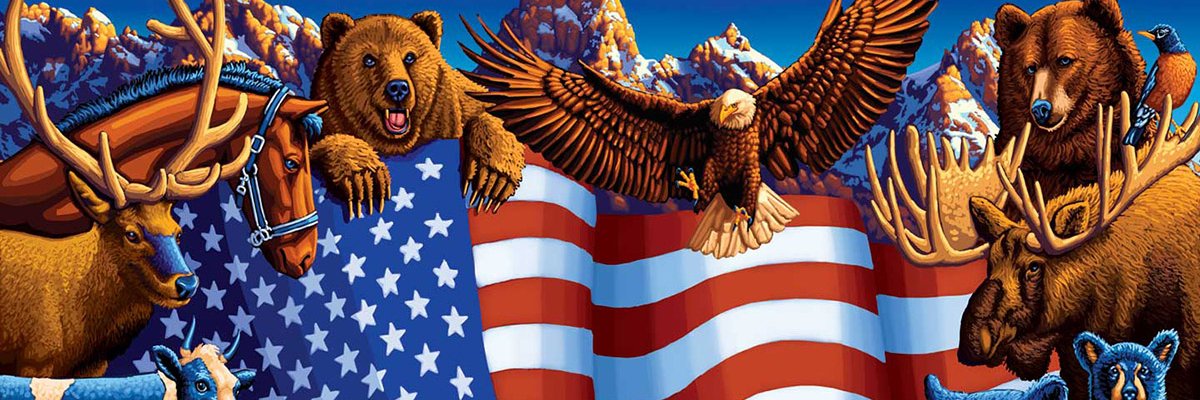 HolisticVeteran's profile banner image