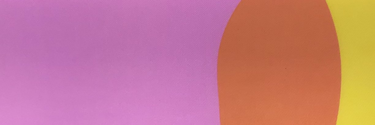 BananaForster's profile banner image