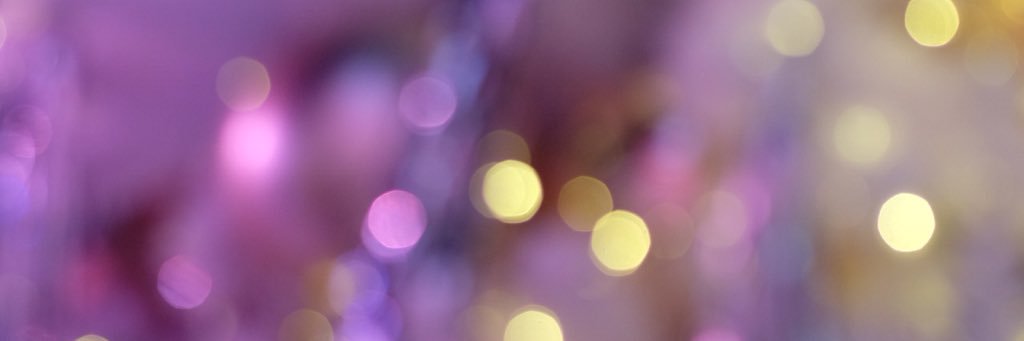 elsa banner