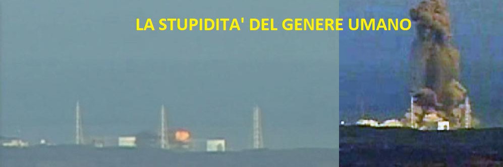 massimo 💻🎞 🚗🌳🎇 banner