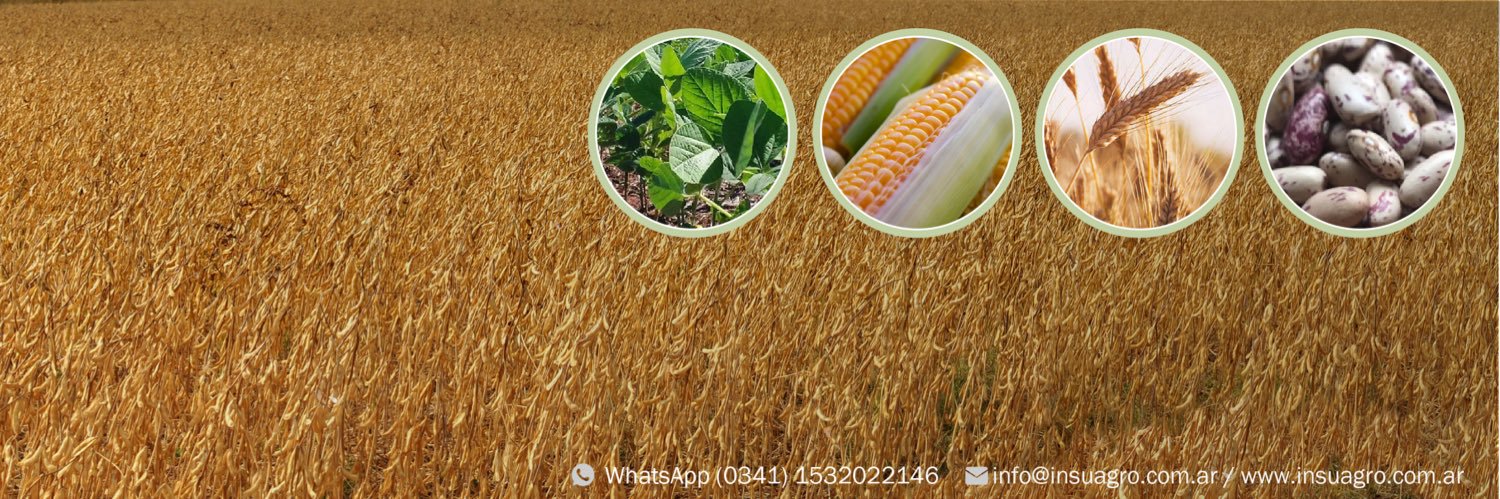 InsuAgro's profile banner image