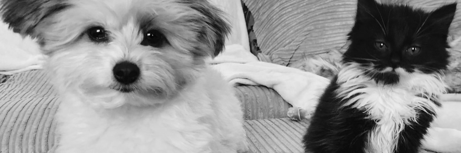 DanielleWeeks2's profile banner image