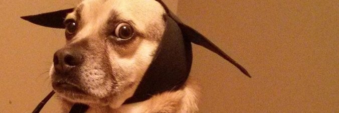djfunkyg's profile banner image