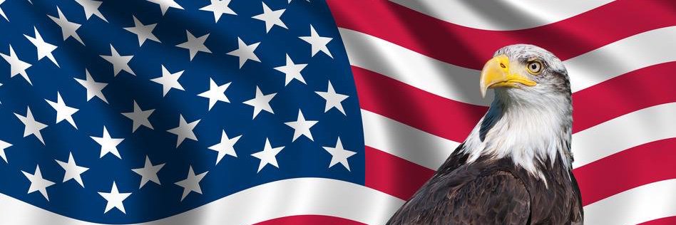 TIG137's profile banner image