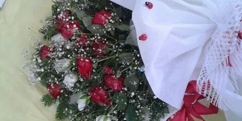 hamiyetince's profile banner image
