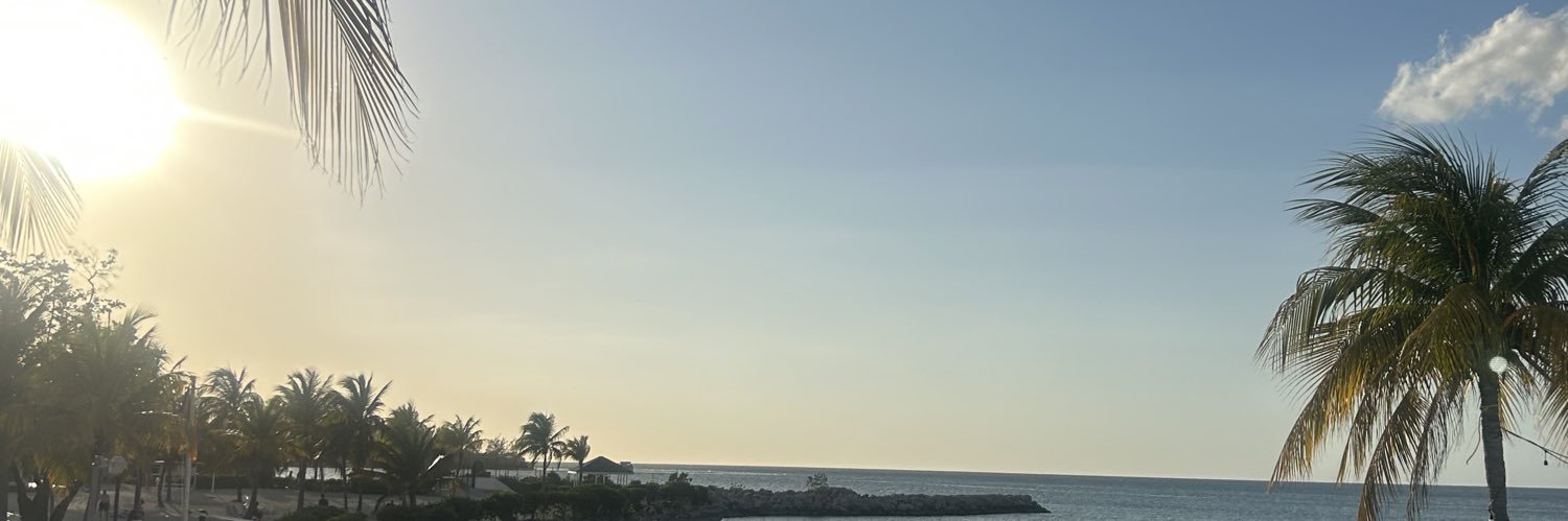 mcflyyguy's profile banner image